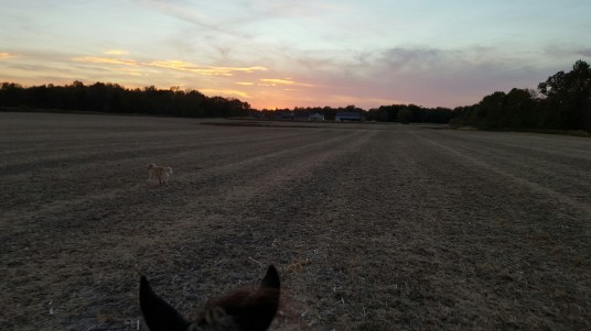 20151019_190622_resized