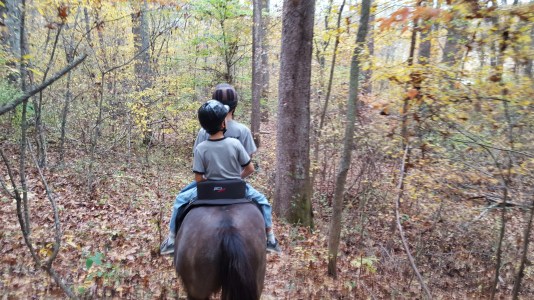 20151023_161940_resized