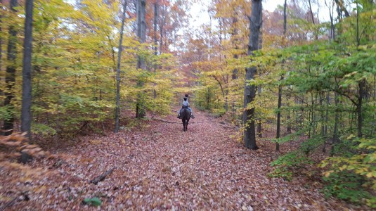 20151023_165254_resized